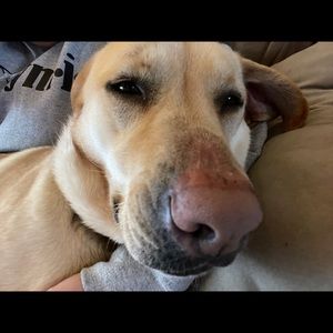 Meet your Posher, Meagan